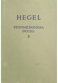 Fenomenologia Ducha II