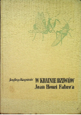 W krainie dziwów