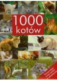 1000 kotów
