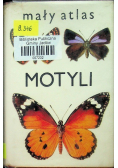 Mały atlas motyli