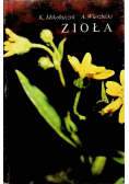 Zioła