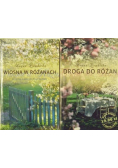 Wiosna w Różanach / Droga do Różan