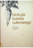Biologia buraka cukrowego