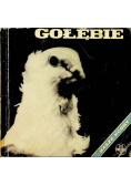 Gołębie