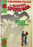 The Amazing Spider  Man nr 1 / 91