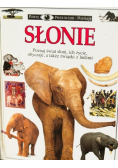 Słonie Patrzę Podziwiam Poznaję