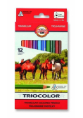 Kredki Triocolor 12 kolorów