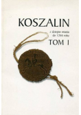 Koszalin z dziejów miasta do 1266 roku tom 1