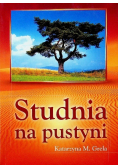 Studnia na pustyni