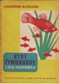 Ryby żyworodne i ich hodowla