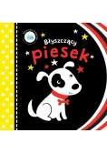 Błyszczące książeczki Błyszczący piesek