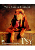 Psy