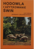 Hodowla i użytkowanie świń