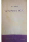 Czuwający mózg