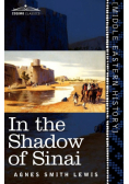 In the Shadow of Sinai