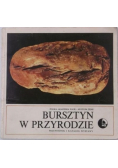 Bursztyn w przyrodzie