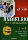 Angielski Praca biznes kariera 3 w 1