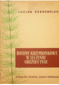 Rośliny krzemionkowe w leczeniu gruźlicy płuc