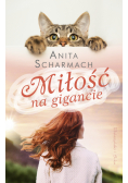 Miłość na gigancie