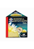 Hodowla kryształów żółte