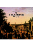 U Szlaskich Wód