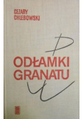 Odłamki granatu