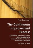 The Continuous Improvement Process
