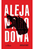 Aleja Narodowa