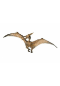 Pteranodon