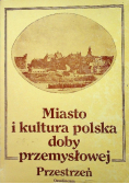Miasto i kultura polska doby przemysłowej