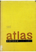 Atlas grzybów