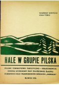Hale w grupie Pilska