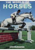 The world of horses