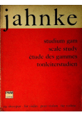 Studium gam na skrzypce