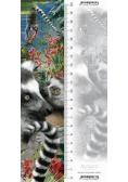 Zakładka 3D Lemur