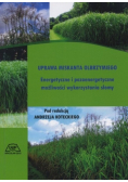 Uprawa miskanta olbrzymiego
