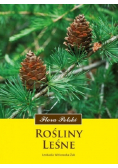 Rośliny leśne