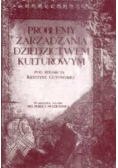 Problemy zarządzania dziedzictwem kulturowym