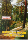 Skamieniałe miasto w Ciężkowicach