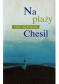 Na plaży Chesil