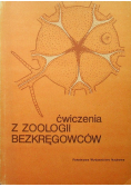 Ćwiczenia z Zoologii Bezkręgowców