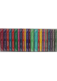 Saga rodu Michorowskich Tom 1 do 24