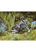 Malowanie po numerach - Zabawny kotek 40x50cm