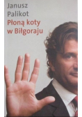 Płoną koty w Biłgoraju