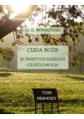 Cuda Boże