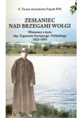 Zesłaniec nad brzegiem wołgi