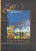 Sosnowiec Zagłębie możliwości