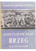 Brzeg