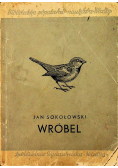 Wróbel 1948 r.