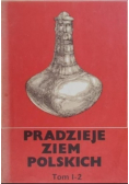 Pradzieje ziem polskich tom I część II